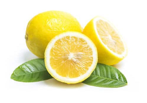 product01-free-img.jpg