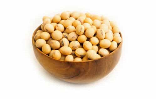 product03-free-img.jpg